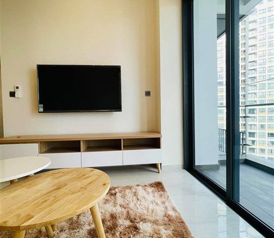 condo for rent in q2 thao dien