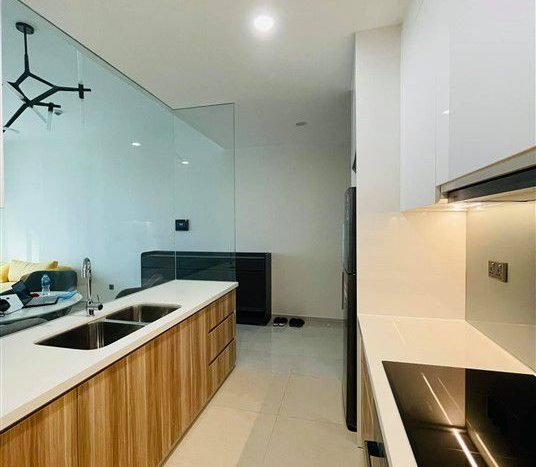 condo for rent in q2 thao dien