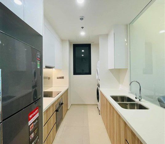 condo for rent in q2 thao dien