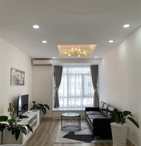 apartment for rent in phu my hung