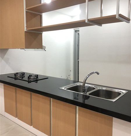 apartment for rent in scenic valley 1 phu my hung