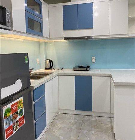 serviced apartment for rent in phu my hung
