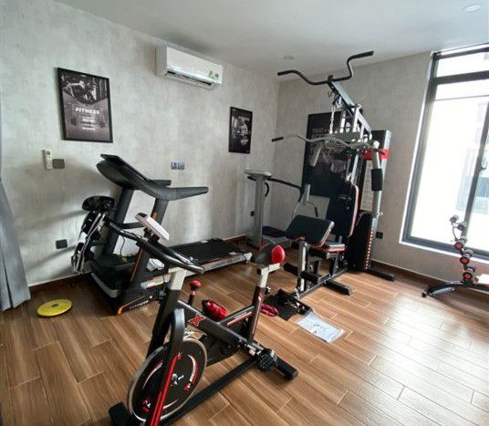 villa for rent in ho chi minh city