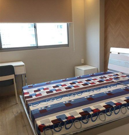 Apartment for rent in Green Valley Phu My Hung