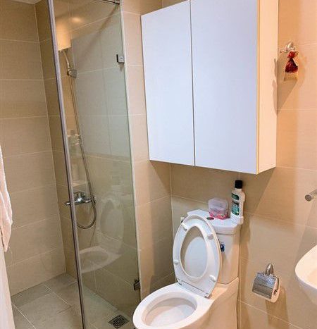 Apartment for rent in Masteri Thao Dien, T2