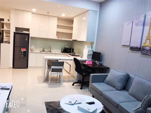 Beautiful apartment for rent in Sunrise Riverside
