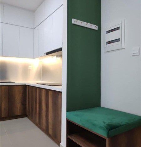 Nice apartment for rent in Sunrise Riverside