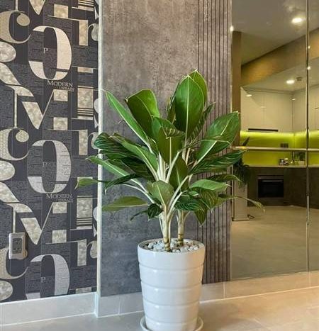 Nice apartment for sale in Saigon South Residences