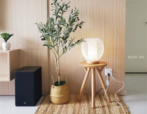 ID 38764 - Cozy 1BR apartment for rent in Masteri An Phu
