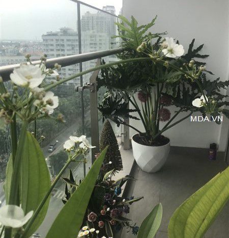 ID22136 - Apartment for rent in Happy Residence