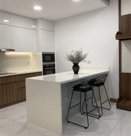 ID300055 – Sunwah Pearl river view condos for lease in Silver House